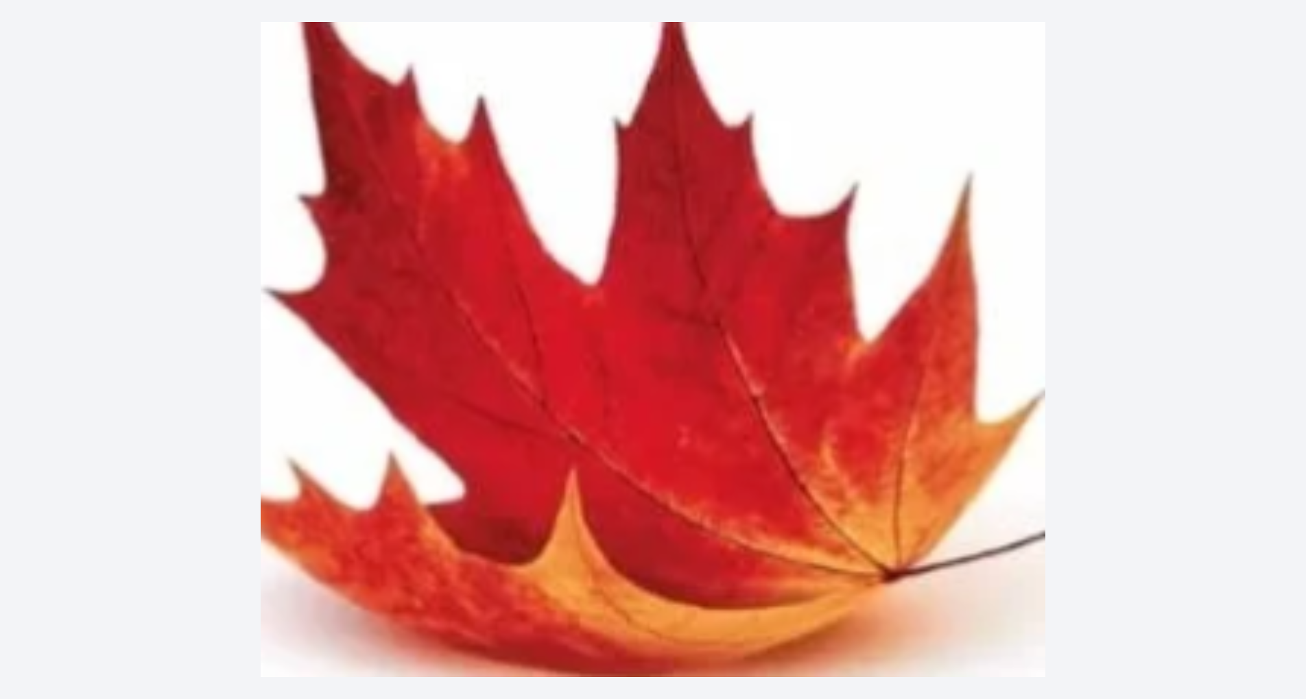 Riflessioni sul fine vita